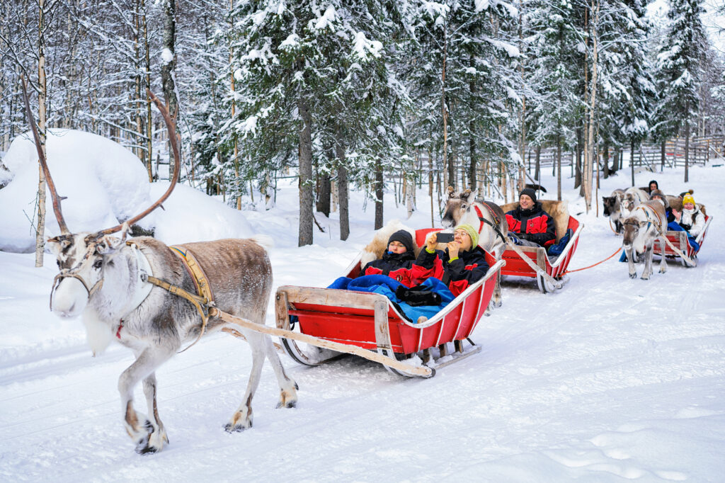Finland Winter Adventure