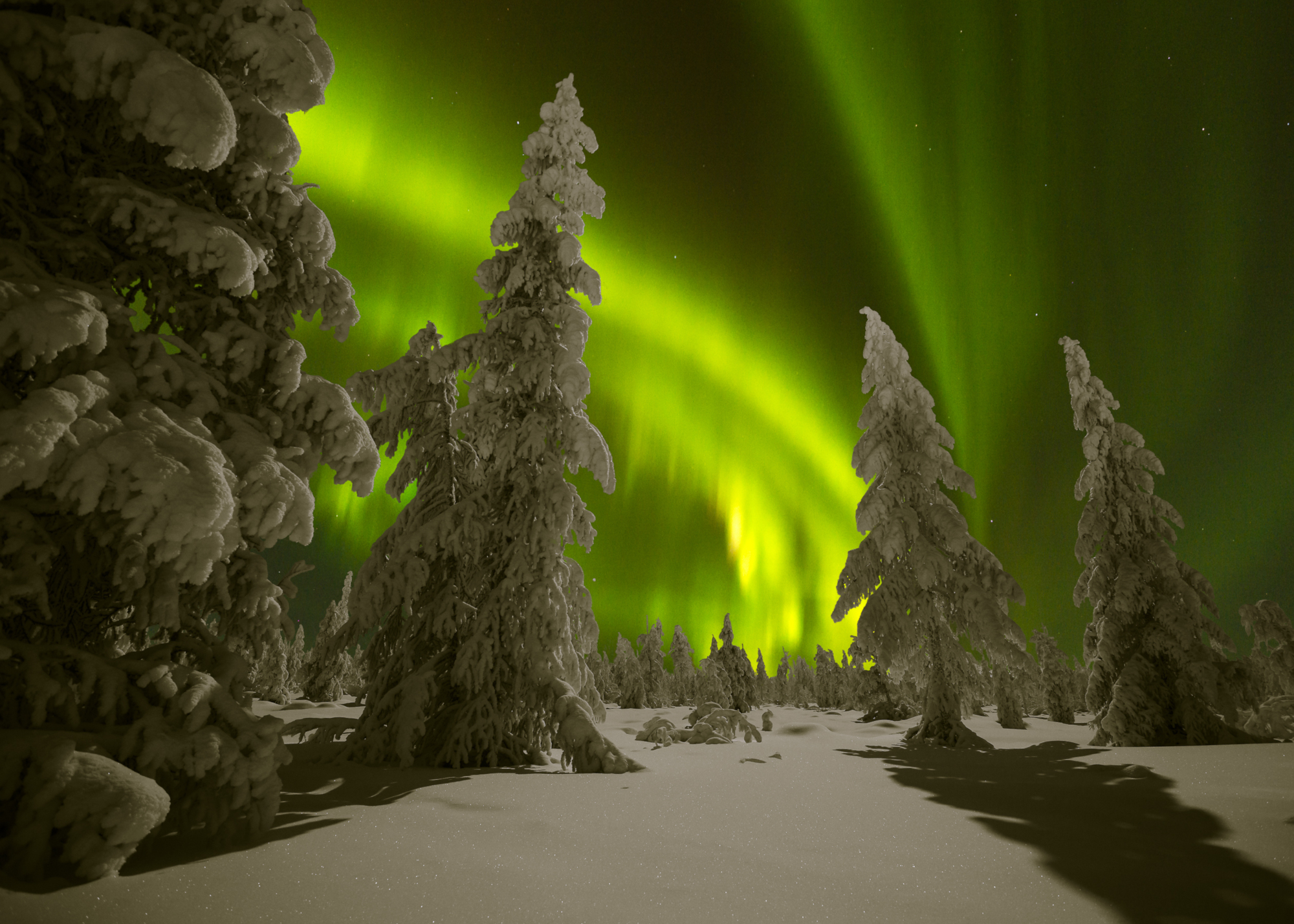 Northern Lights In Rovaniemi
