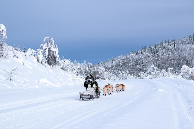 Lapland Winter Adventure